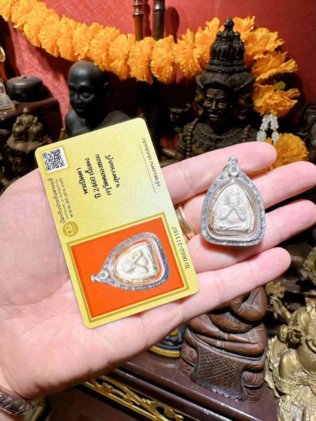龙婆蜀2460 必打掩面