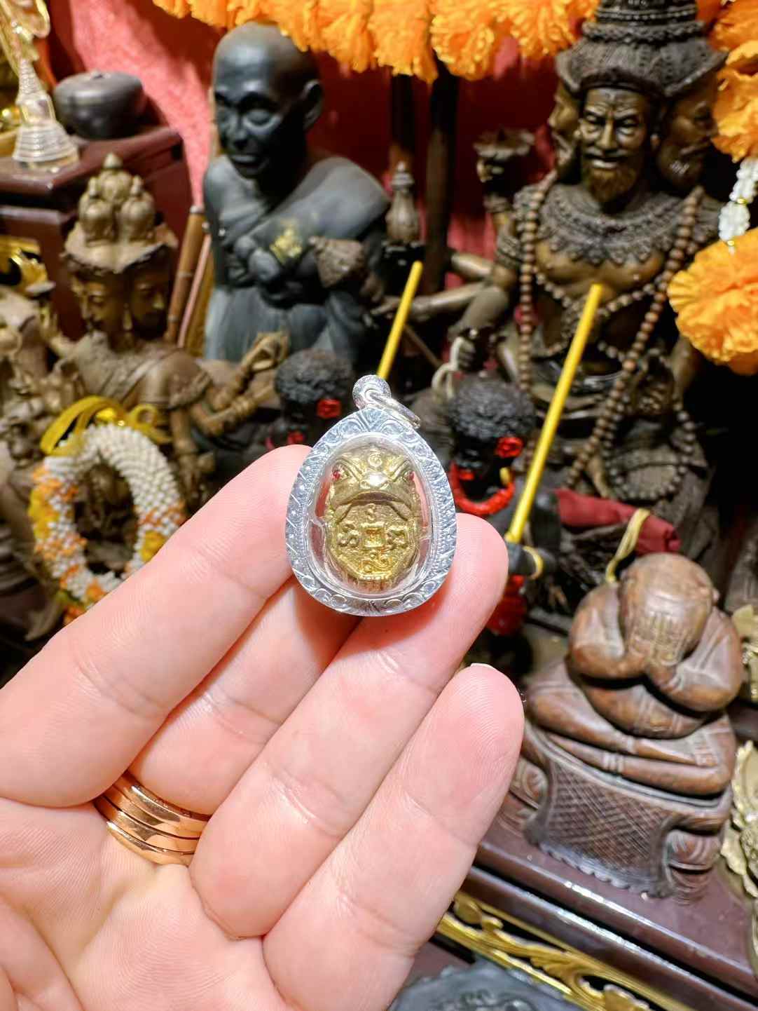 古巴康斋一期招财金蟾